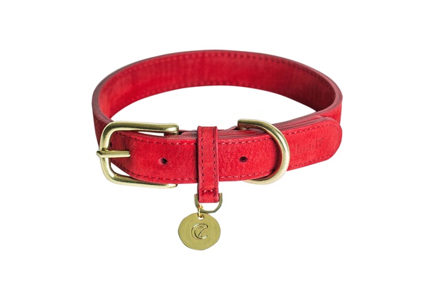 Nubuck Collar in Cherry Red from Cloud 7
|
<a
href="
http://eightpaws.co.nz/products/nubuck-collar-in-cherry-red-from-cloud-7" target="_blank"><u> from $94.00 from 8 Paws </u></a>