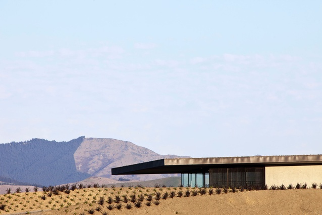Brancott Estate Heritage Centre by Fearon Hay Architects.