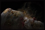 Body of landscapes