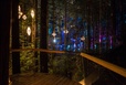 Redwoods Nightlights