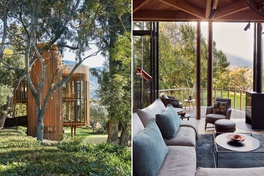 Hot House: Tree House
