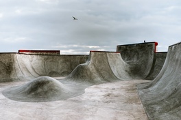 Concrete dogtown