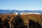 Wine Time: Ara's arrow