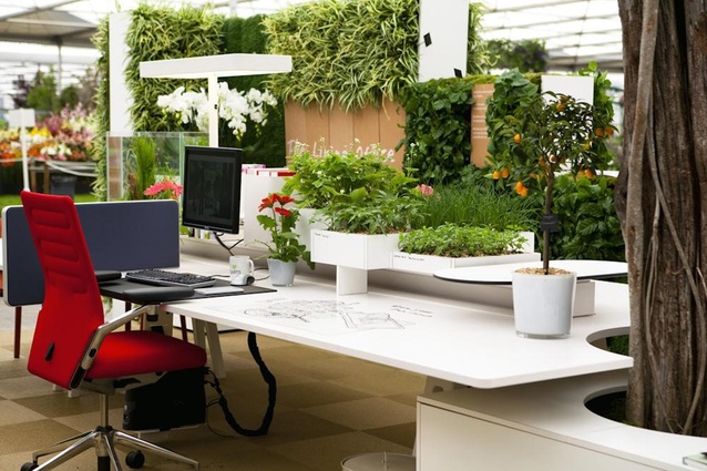 The global impact of biophilic design in the workplace | Architecture Now